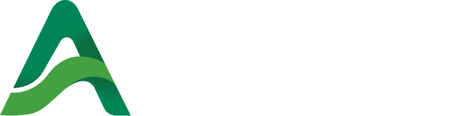 Amazon Consultoria Financeira